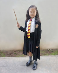 hermione potter harry costume granger diy she wand wear hair did necktie cloak reused badge got mrsmommyholic