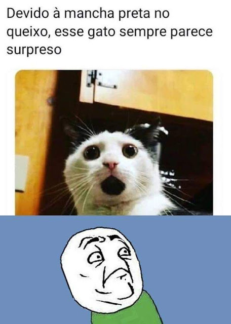Memes divertidos Memes divertidos