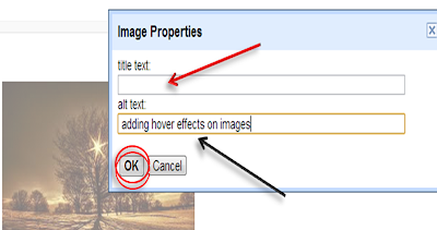 adding alt tag to images