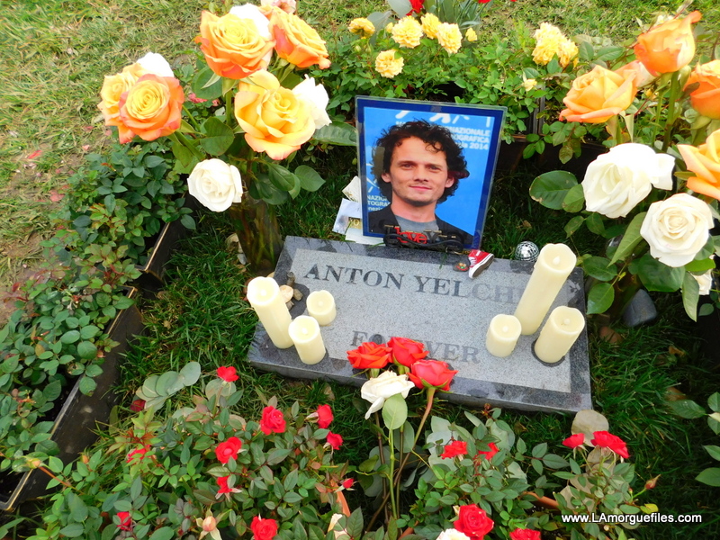 "Star Trek" Actor Anton Yelchin 2016 Hollywood Forever Cemetery -...