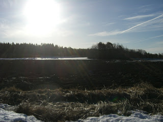 Solig%2Bmorgon%2B%25283%2529 - Svett och sol