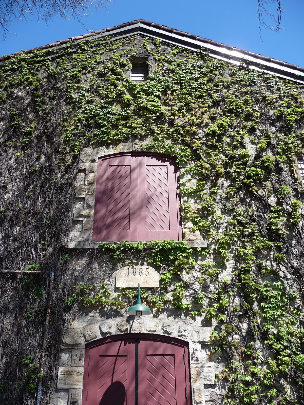 Sette Design Houses Covered in Vines Napa Valley
