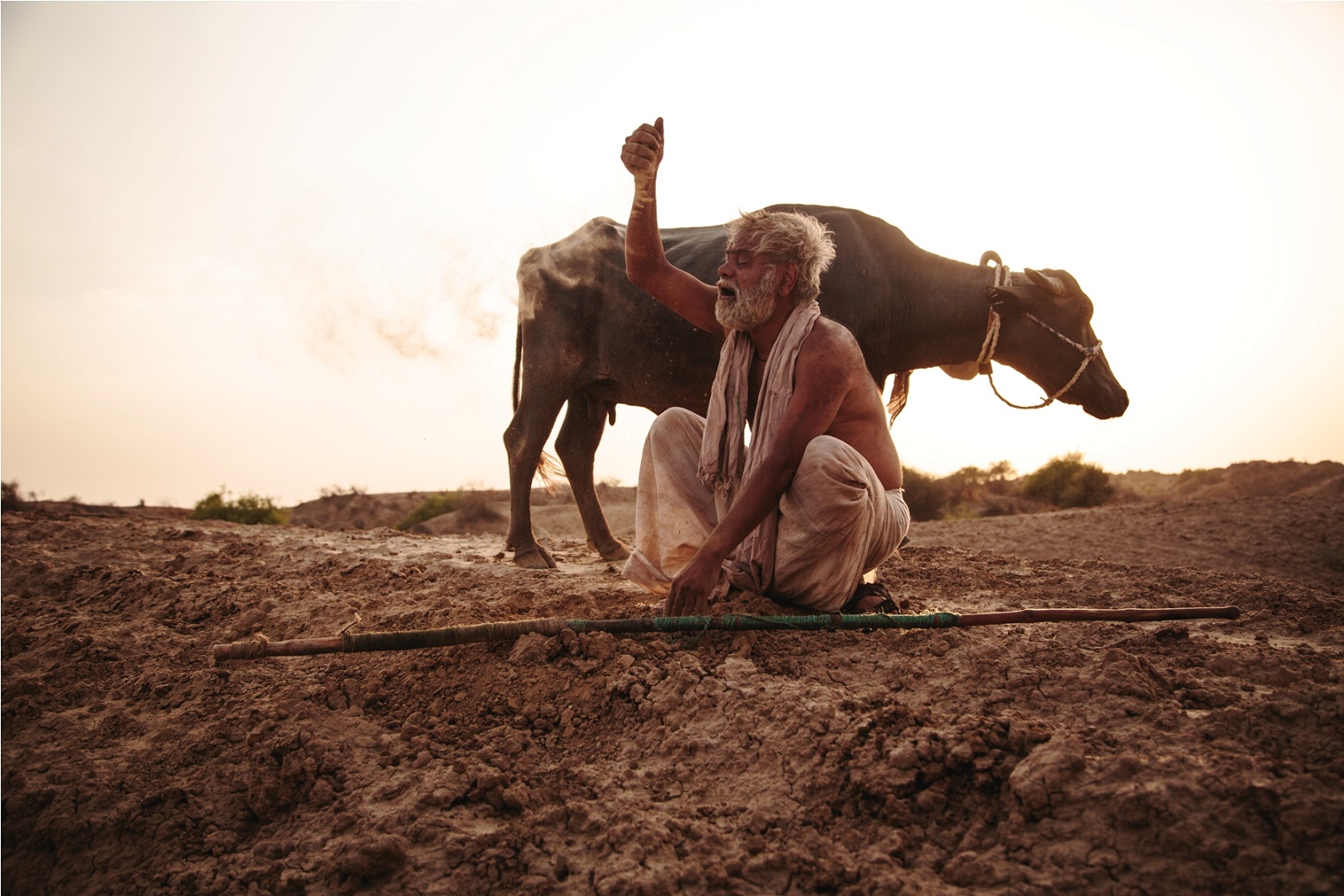 watch kadvi hawa movie online watch kadvi hawa movie online