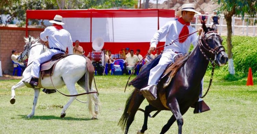 CABALLO PERUANO DE PASO: Niños de escuela de mini chalanes del Parque de las Leyendas ofrecen exhibición
