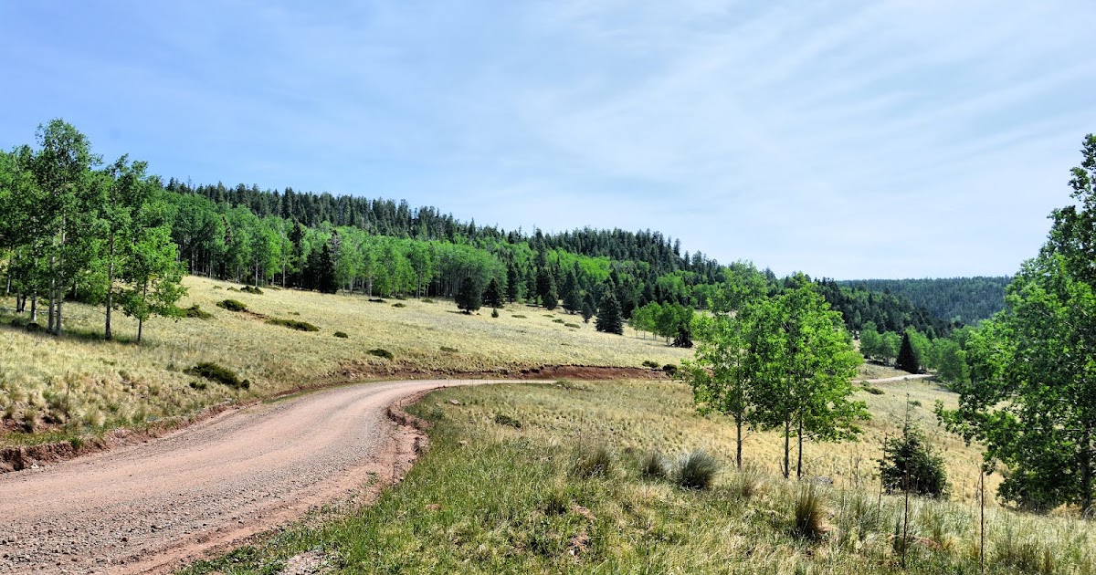 Revealed Truth on the Road to Wagon Mound