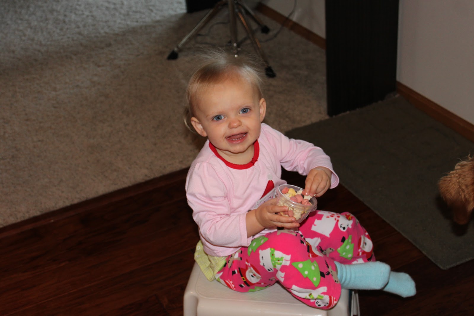 The Adventures of Scott, Jessica, Addy Bear and Little Charlie Eating