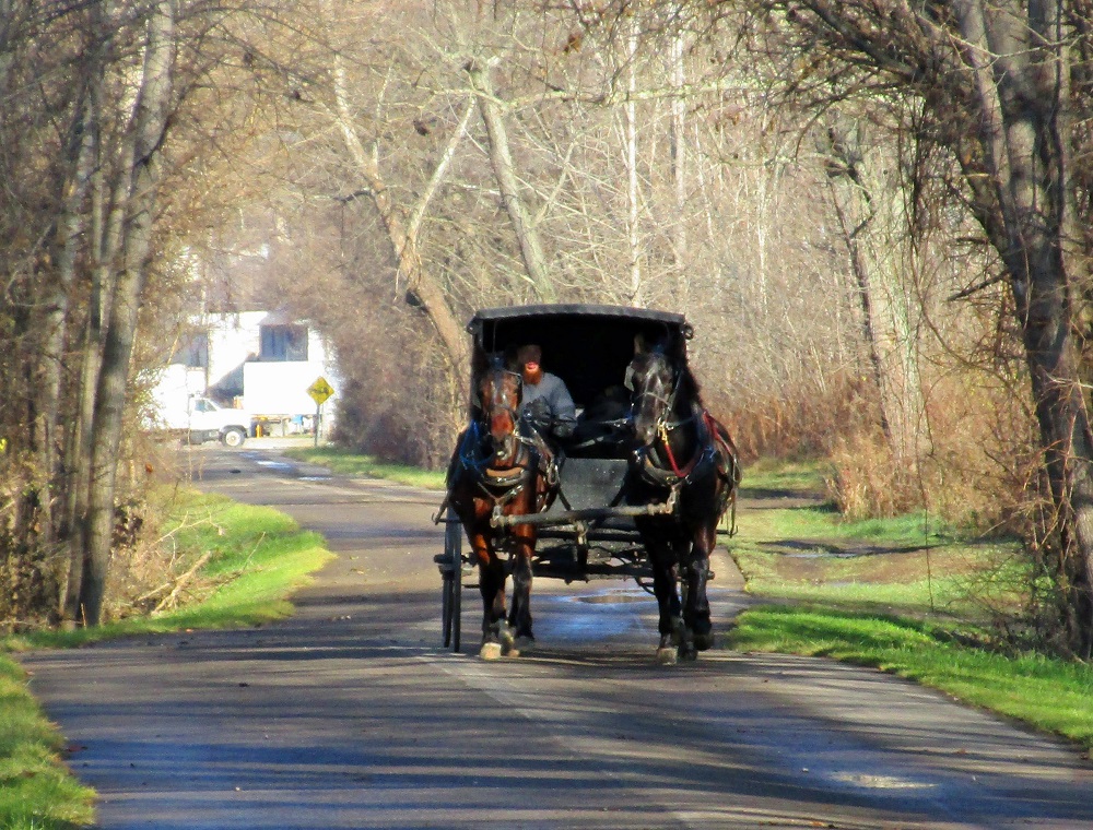Heart and Sole A visit to Ohio Amish Country via the Holmes County Trail