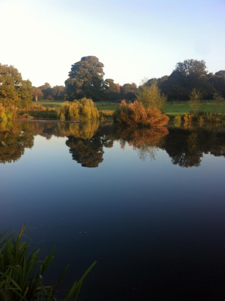 UK fishing venues Swillington Park (Lake 1) Venue Review