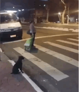 1514063128133960074.gif