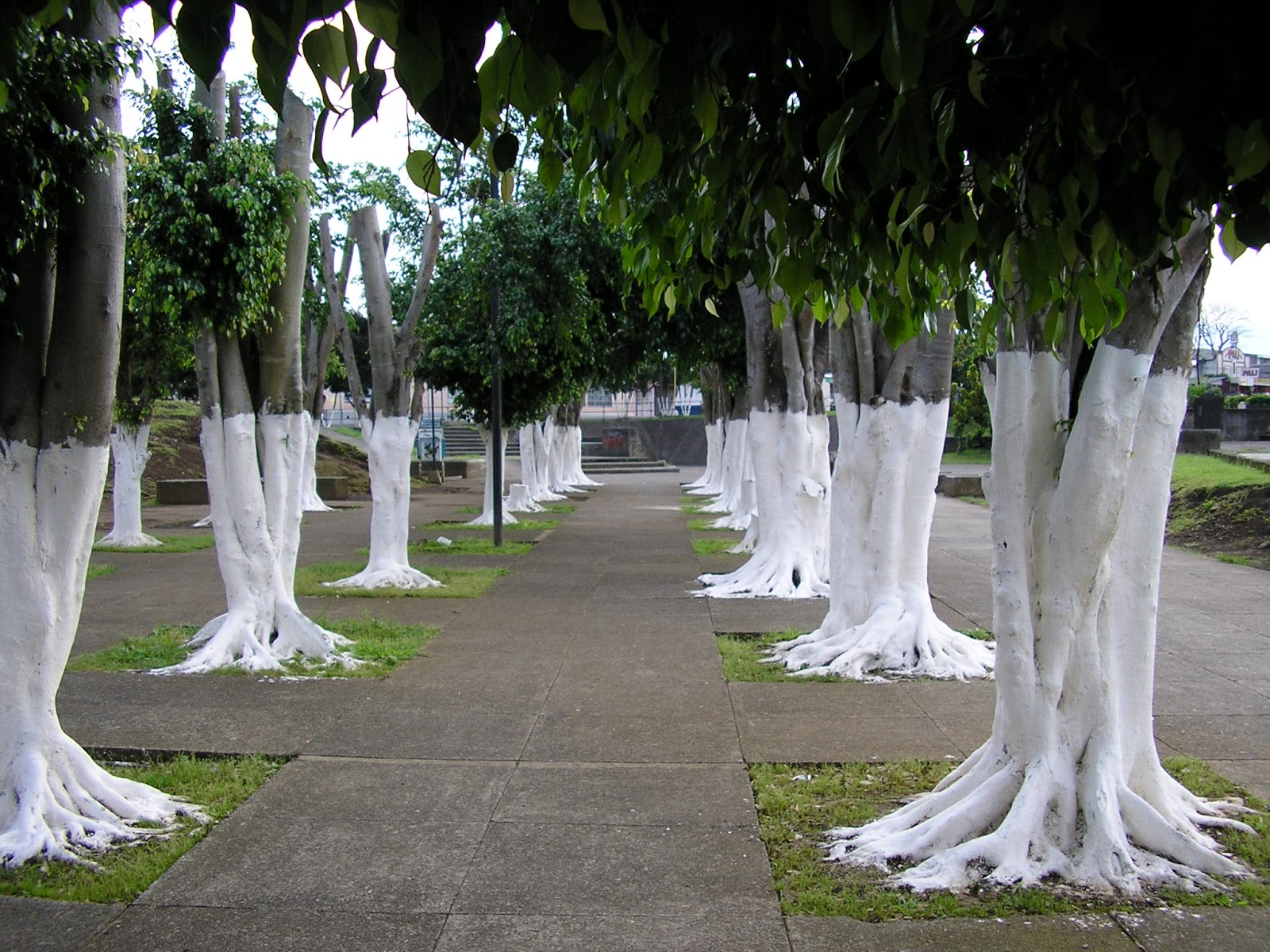 Paisajismo, pueblos y jardines: septiembre 2016