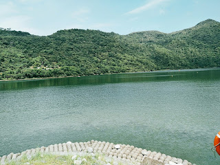 raw-image