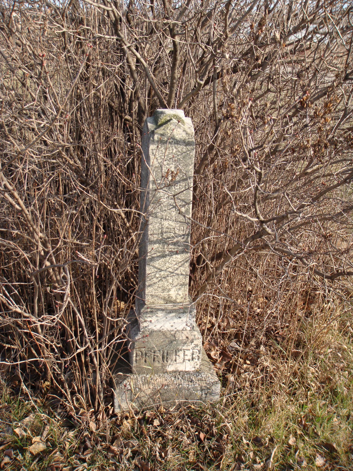 Minnesota Cemeteries Pioneer Cemetery (Morrison County) Swanville
