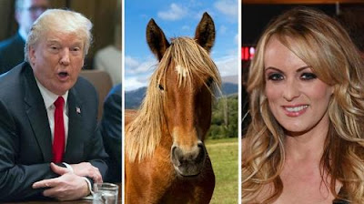 Horse Face Stormy Daniels Is in Really Hot Water