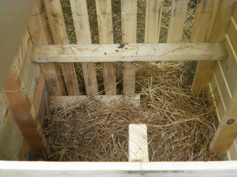 Simply Self Sufficiency Duck Pallet House