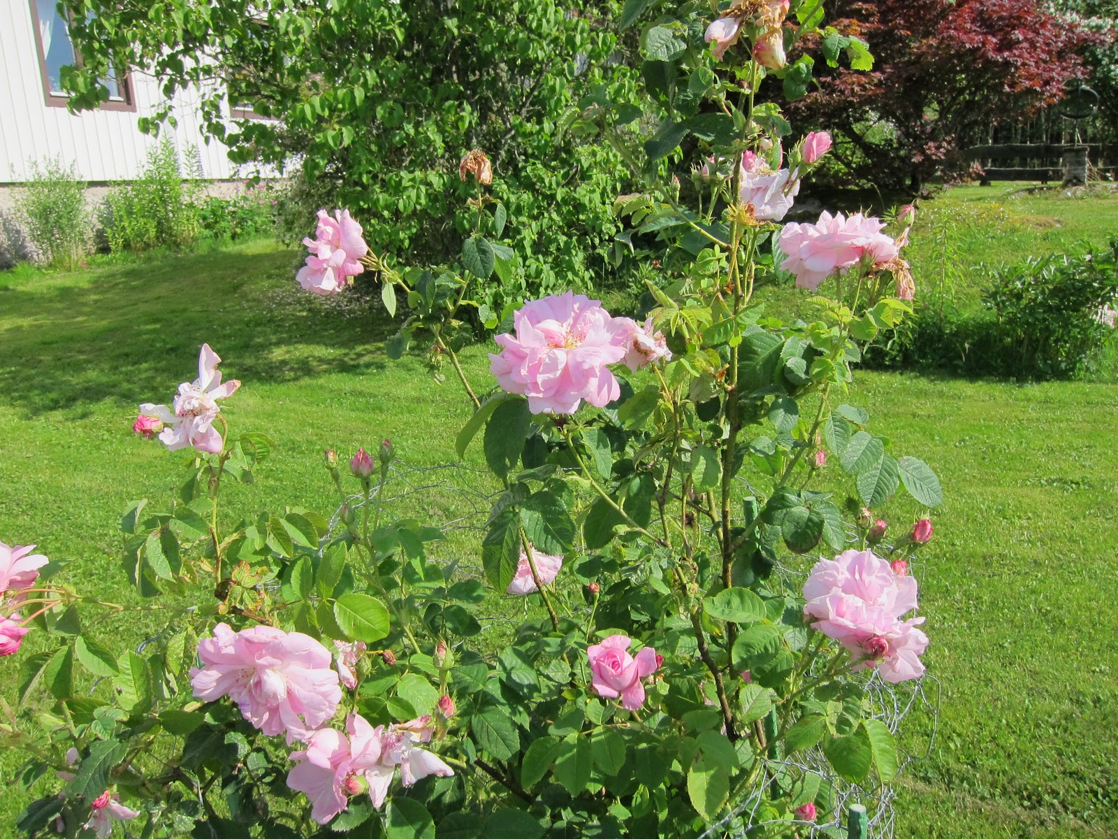 Stina Wallgrens Vävbod: juli 2012