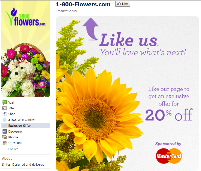 Social Media Marketing Tools FaceBook Fanpage Designs Concepts spotted