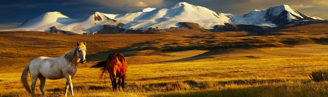66 Fakta Mongolia Yang Menarik Untuk Menambah Wawasan