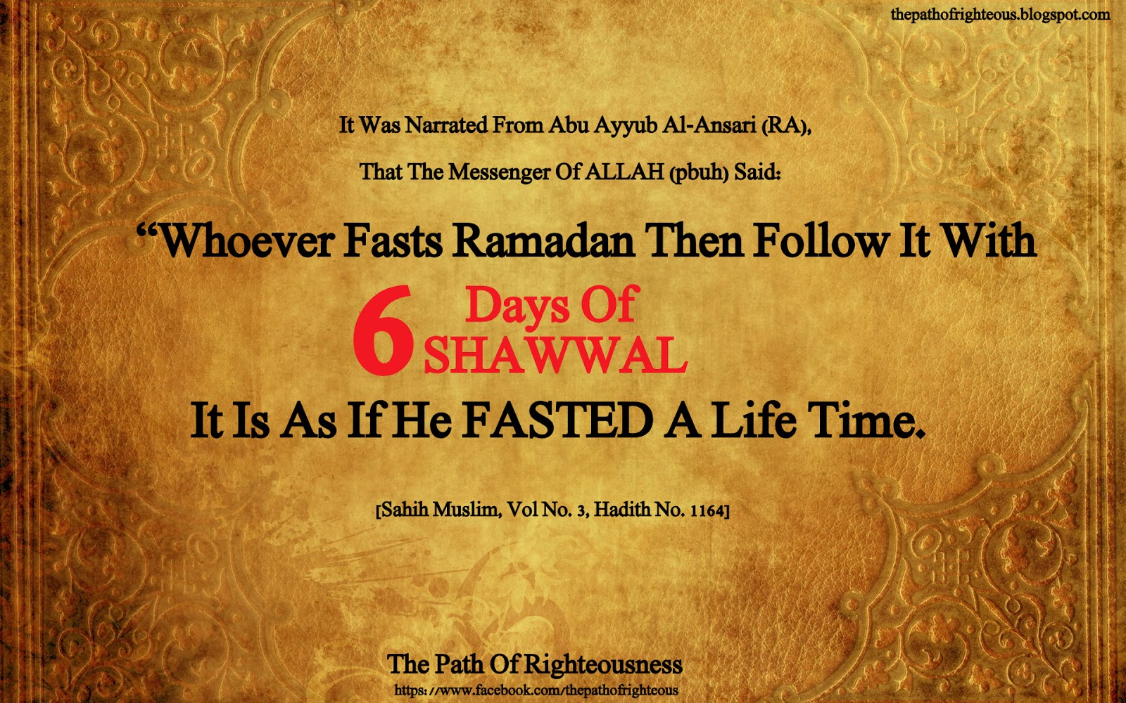 Our Islam Info 10.Shawwal