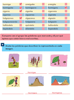 Respuestas Apoyo Primaria Español 2do grado Bloque 1 lección 15 ¿Están bien escritas las palabras de la fábula?