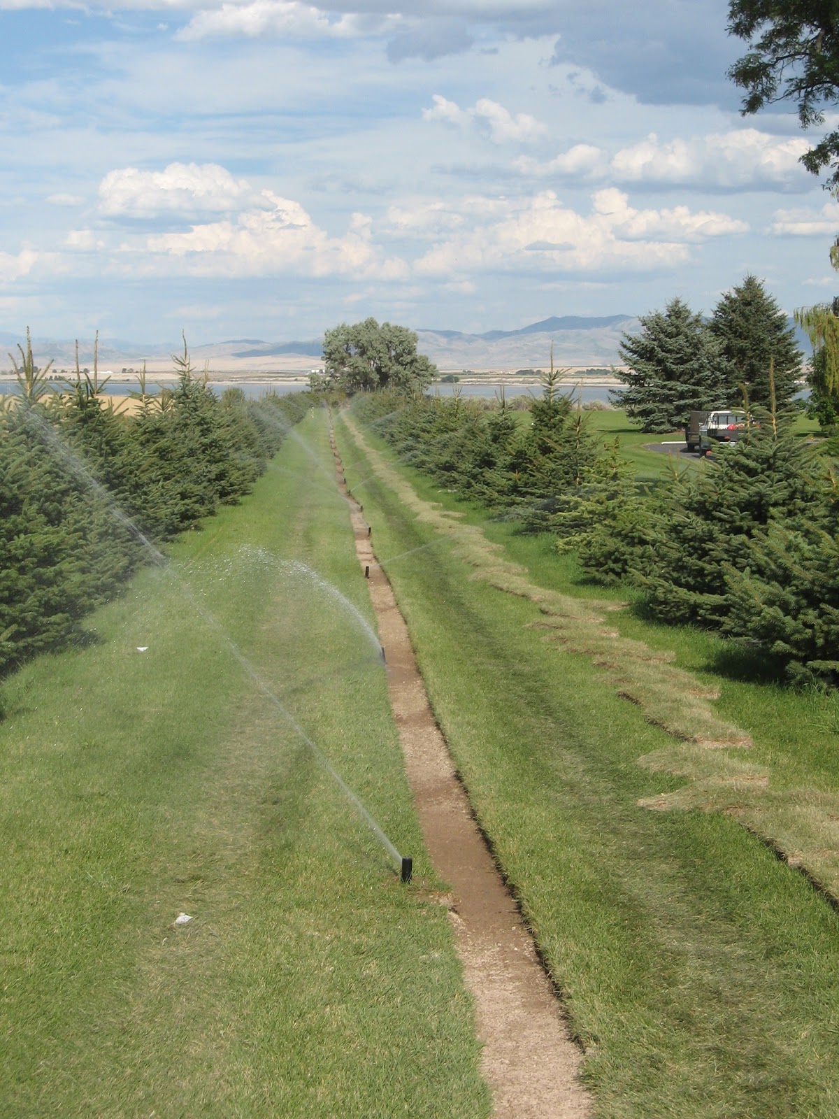 Bushman Landscaping Sprinkler Installation