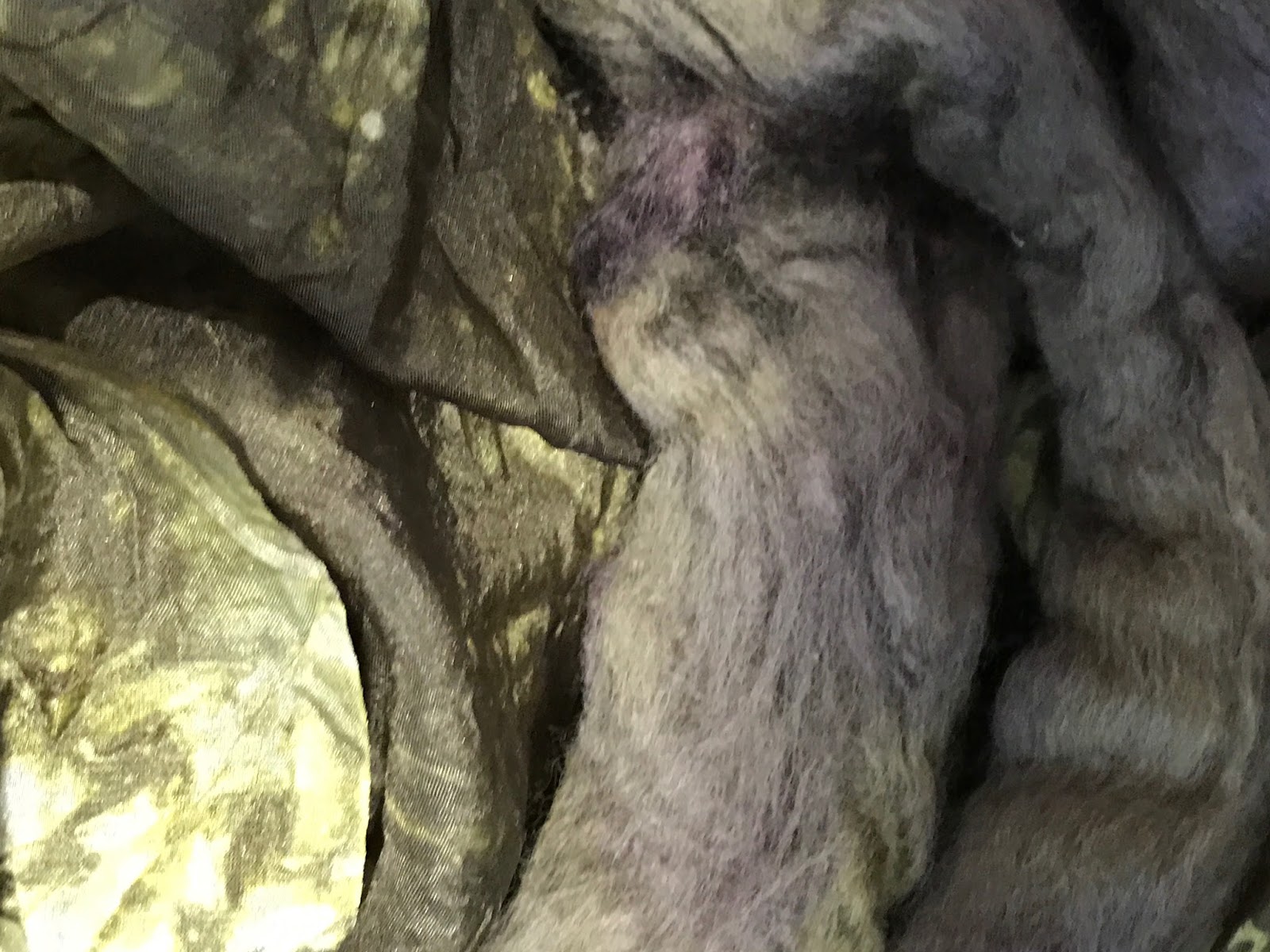 Studio 907 How to dye wool roving and silk using acid dyes