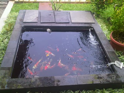 Yuk, Percantik Taman Minimalis Dengan Kolam Ikan Mungil Yuk, Percantik Taman Minimalis Dengan Kolam Ikan Mungil