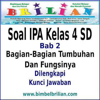 Soal IPA Kelas 4 SD Bab 2 Bagian- Bagian Tumbuhan Dan Fungsinya Dan Kunci Jawaban Soal IPA Kelas 4 SD Bab 2 Bagian- Bagian Tumbuhan Dan Fungsinya Dan Kunci Jawaban