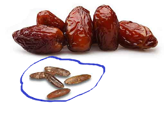 Manfaat dan khasiat biji kurma Manfaat dan khasiat biji kurma
