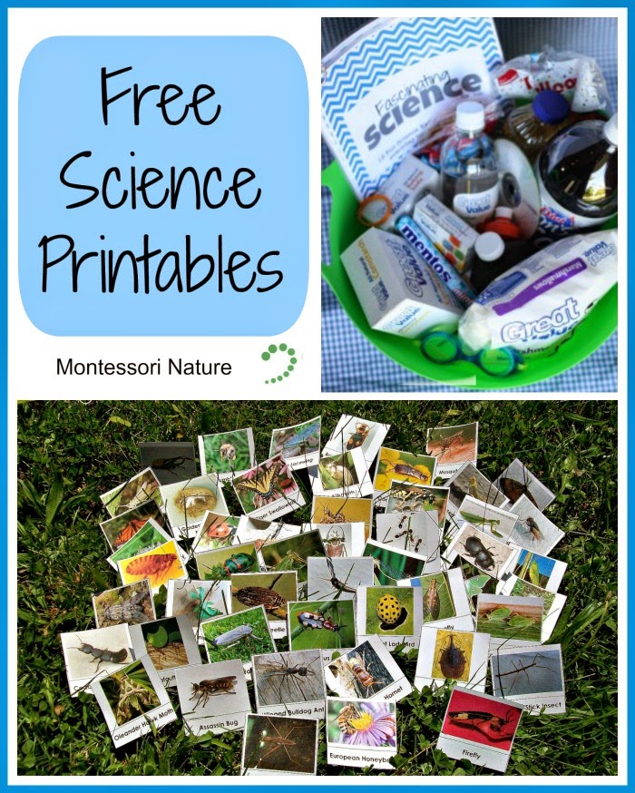 free-science-printables-montessori-nature