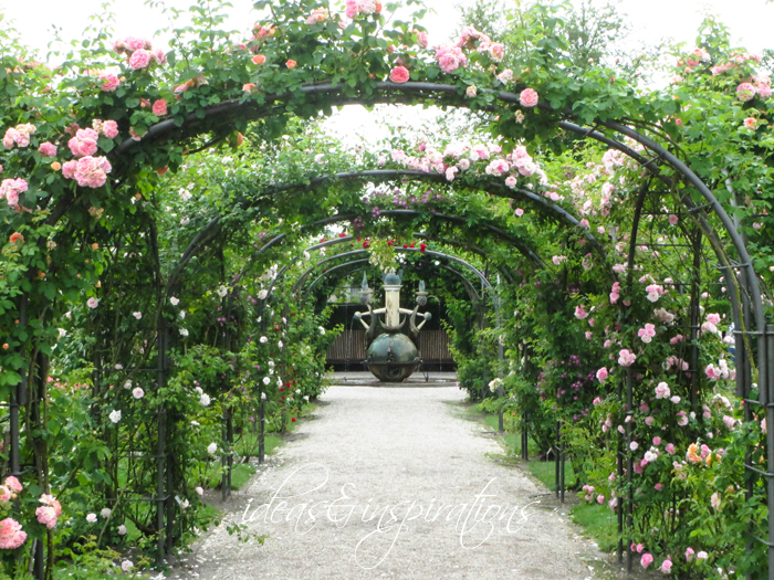 Rosenzauber * rose magic Handbrause