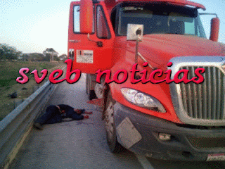 Ejecutan a balazos  a otro trailero en municipio de Emilianoa Zapata Veracruz. Noticias en tiempo real