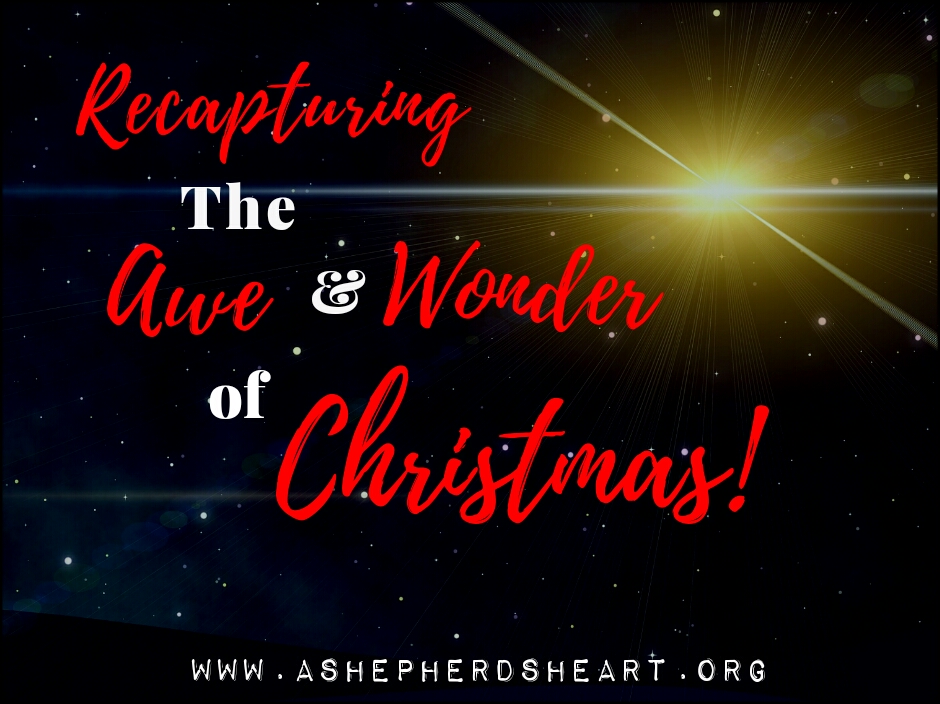 A Shepherd's Heart: Recapturing The Awe and Wonder of Christmas!