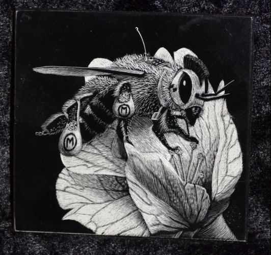 INSIDE THE ROCK POSTER FRAME BLOG Craig "Tapecat" McCudden