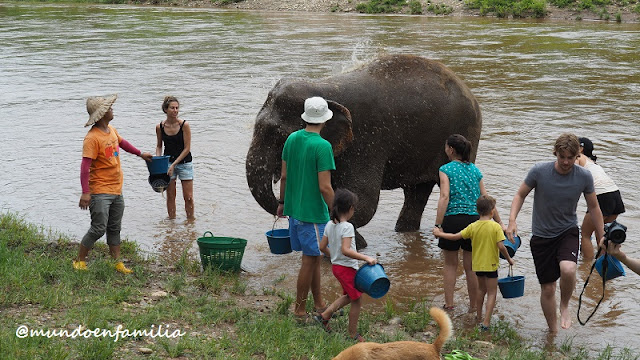 Elephant Nature Park (Chiang Mai)