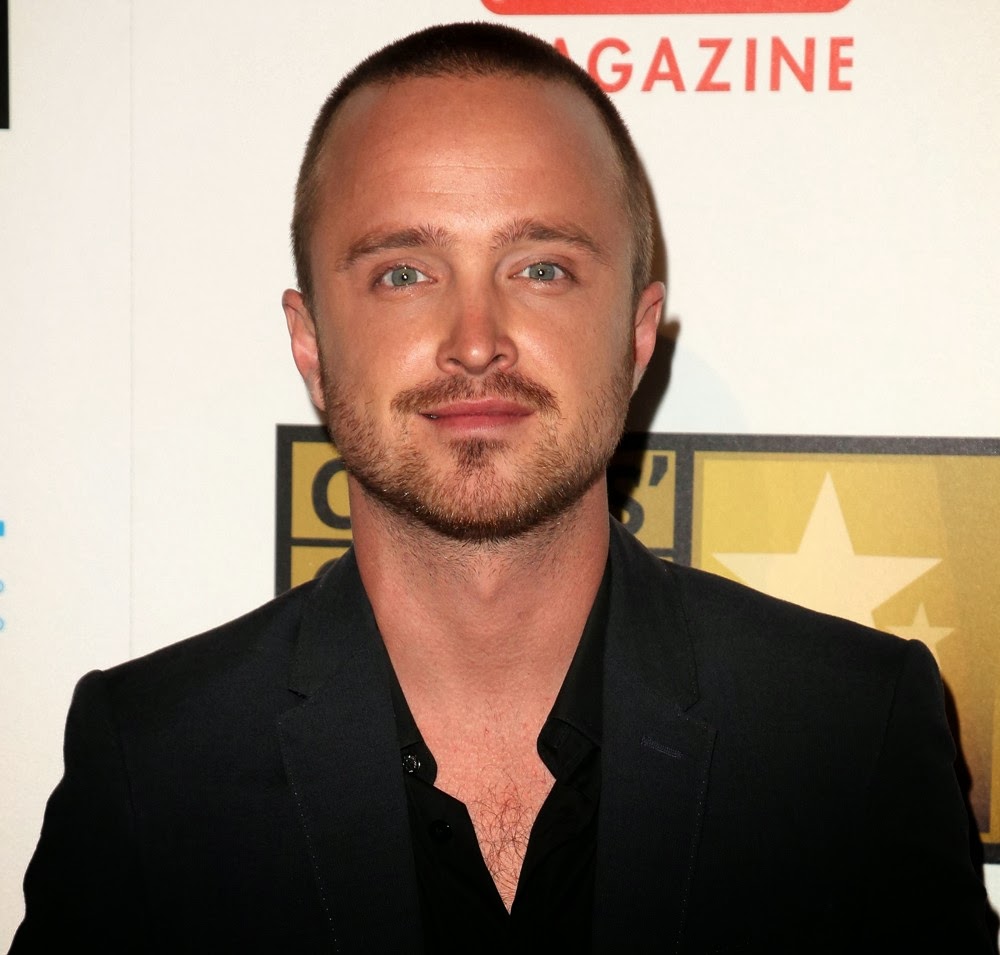 Aaron paul HairStyles - Men Hair Styles Collection