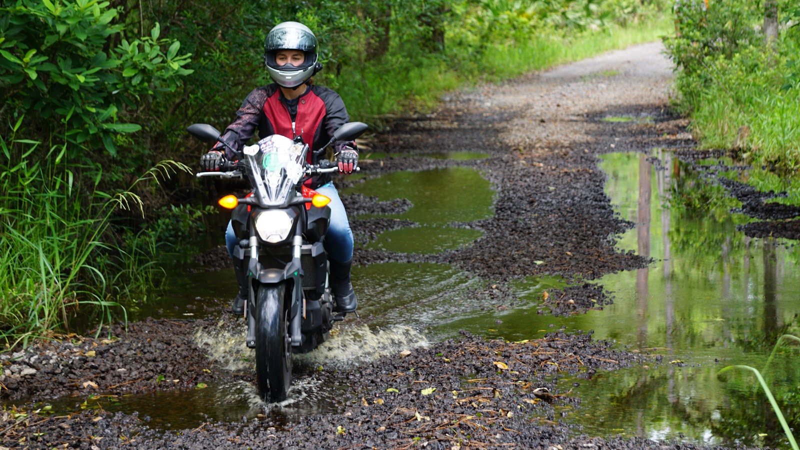 Download gpx file to bmw motorrad 3