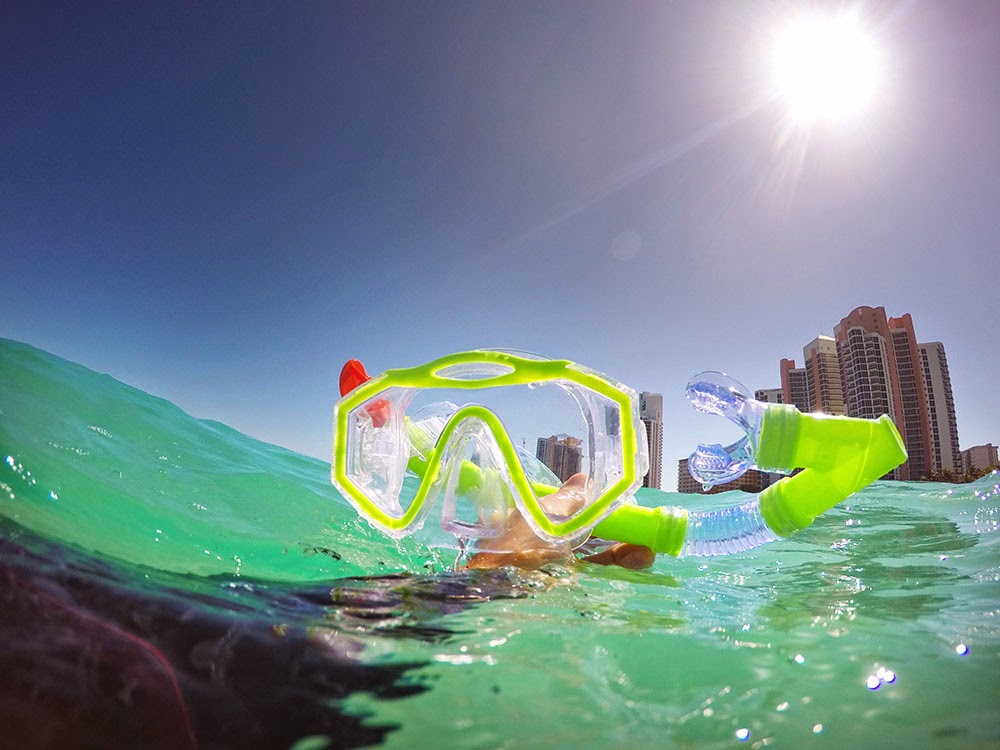 Exploring Miami Golden Beach Boulder Reef Snorkeling Starfish