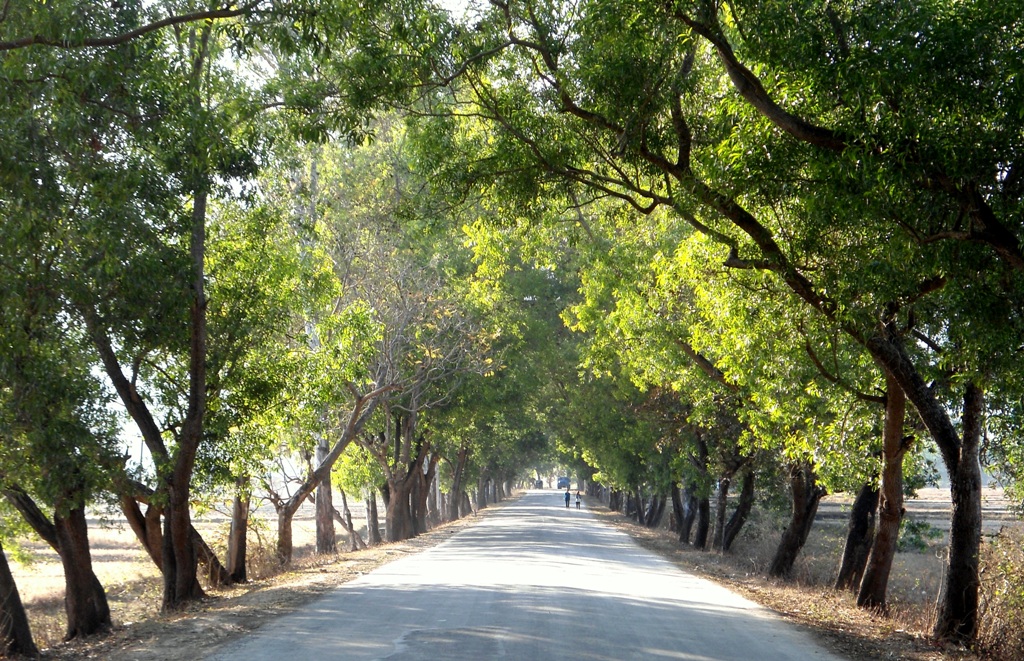 Home Thingujam's Portal