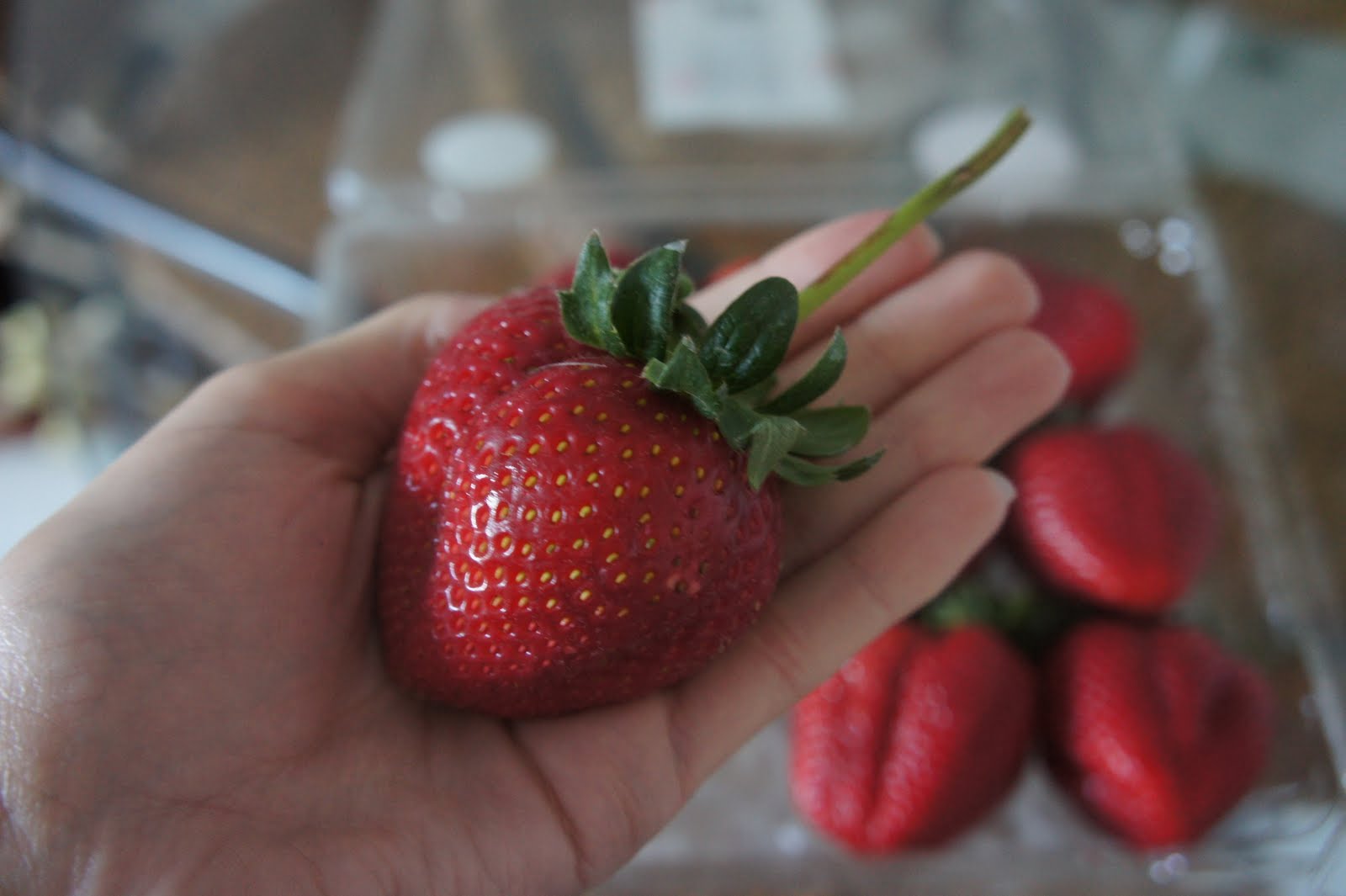 Duckeys Health Corner: Have you tried King Strawberries?