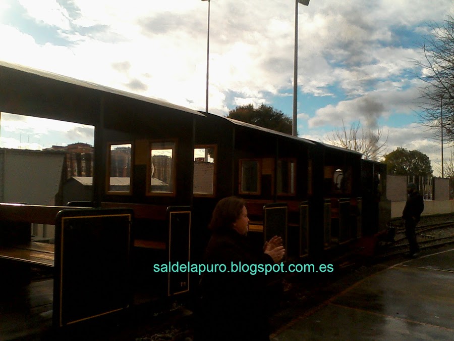 tren jardinera vapor