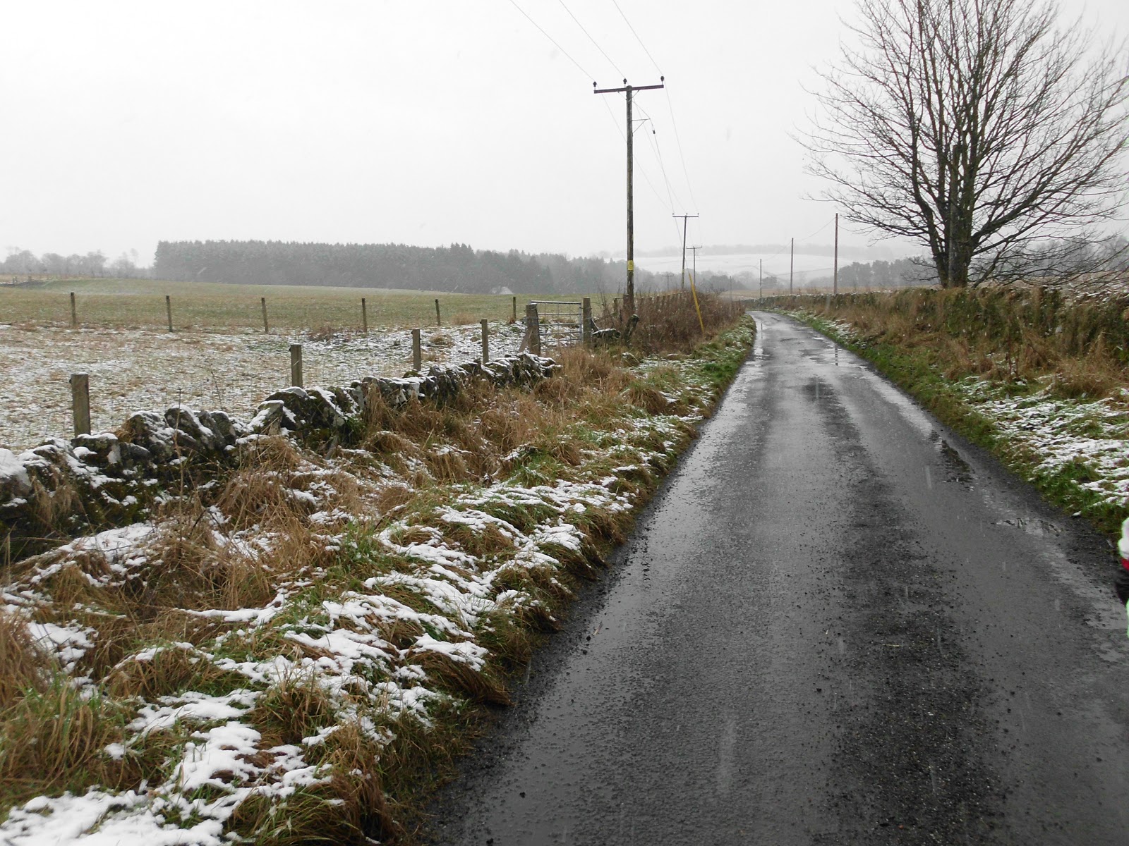 My Daily Walk The Old Glen Road, Dunblane