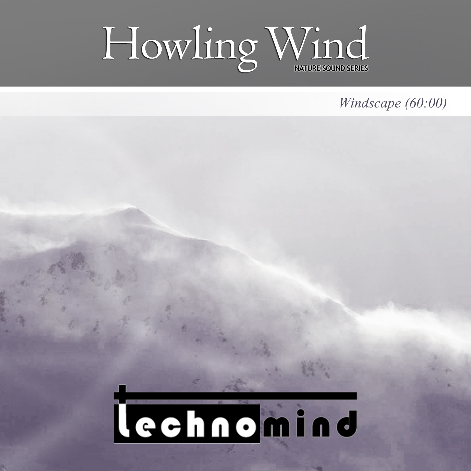 Howling Wind. Howl Wind. The Wind is Howling. Editors no Sound but the Wind альбом.
