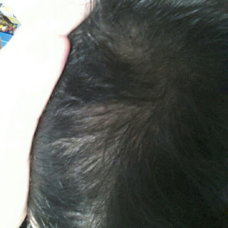 KakaoTalk_20160410_134525390.jpg
