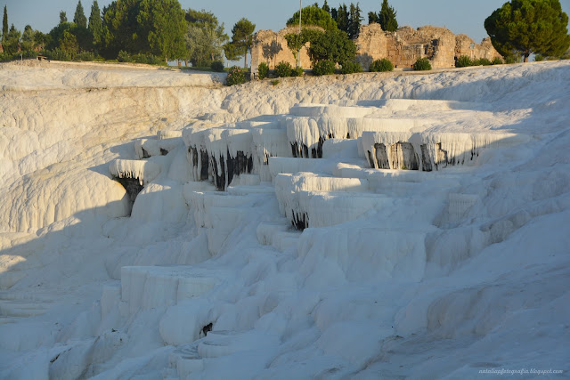 DSC_2952.JPG