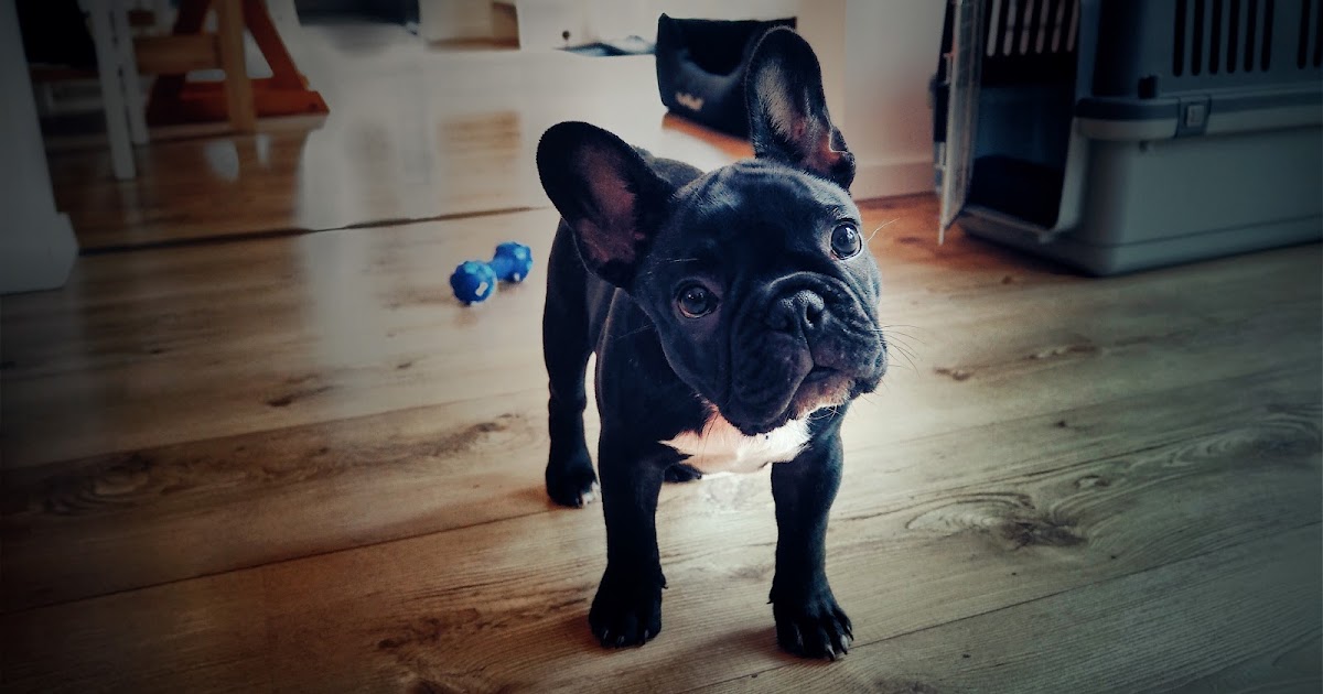 Nordbreze Und So Januar 2017