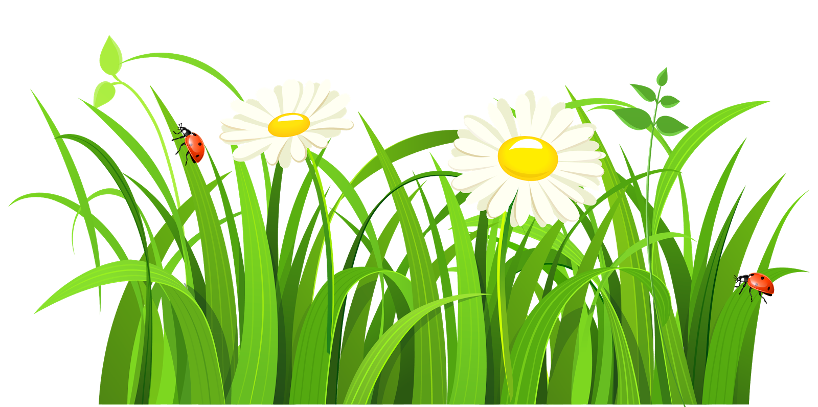 free clipart grass and flowers - photo #25
