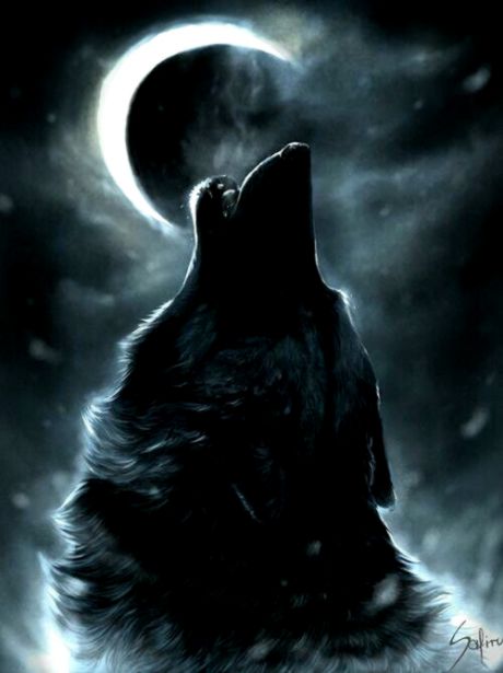 Wolf Howling At The Moon Wallpaper Wallpapers Design