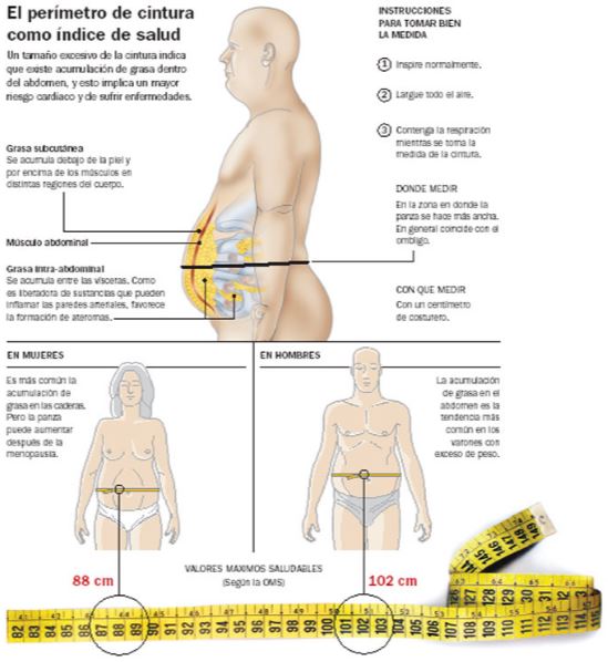 Cinturón de masajeador cinturón de masa muscular del cuerpo abdominal 