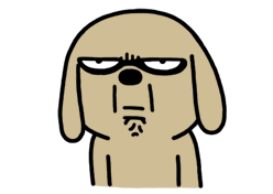 17.gif