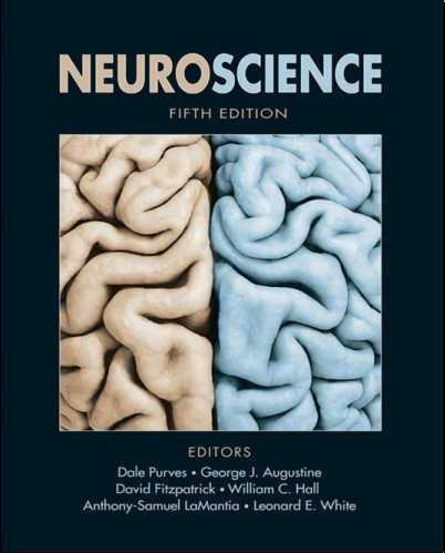 Neuroscience, 5th Edition [PDF] - MedbooksVN